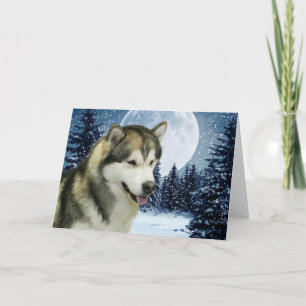 Winter Malamute Card