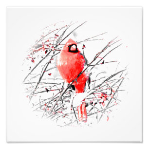 WINTER MALE CARDINAL PHOTO PRINT