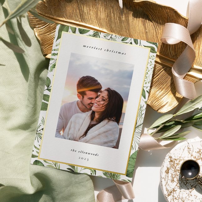 Winter Meadow | Botanical Christmas Photo (Creator Uploaded)