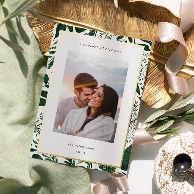 Winter Meadow | Botanical Christmas Photo (Creator Uploaded)