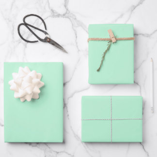 Winter Mint Solid Colour Wrapping Paper Sheet