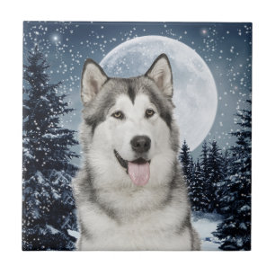 Winter Moon Husky Ceramic Tile
