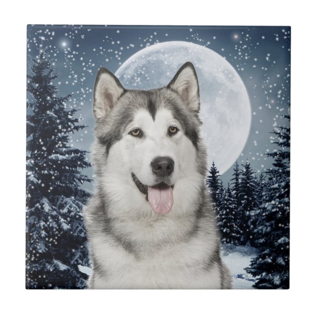 Winter Moon Husky Ceramic Tile (Front)