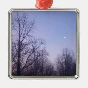 Winter Moon Morning Landscape Photography Metal Tree Decoration