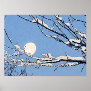 Winter Moon Poster