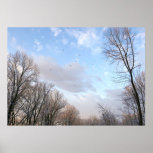 Winter Morning I Poster