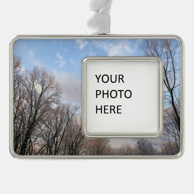 Winter Morning I Silver Plated Framed Ornament (Front)