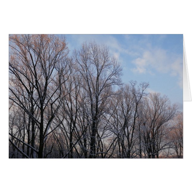 Winter Morning III Nature Landscape (Front Horizontal)