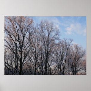 Winter Morning III Nature Landscape Poster