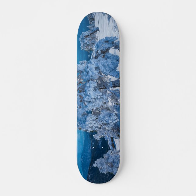 winter morning in field skateboard (Front)