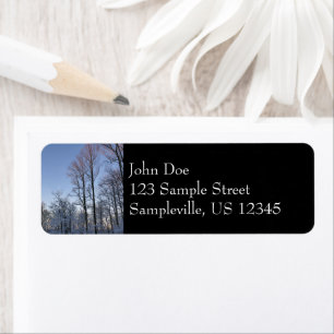 Winter Morning Light I Landscape