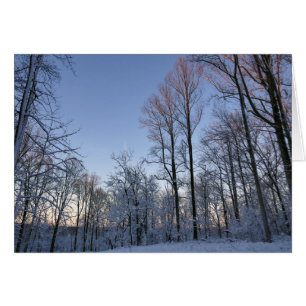 Winter Morning Light I Landscape