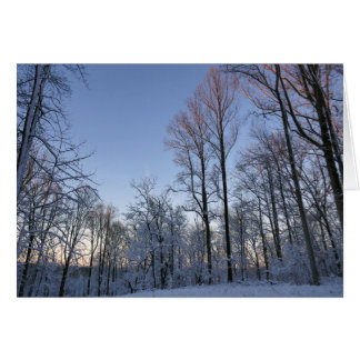 Winter Morning Light I Landscape
