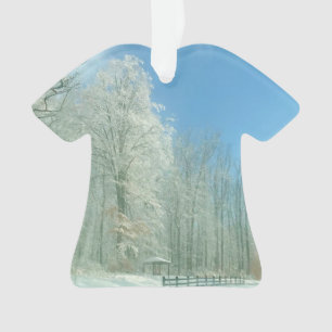 winter morning ornament