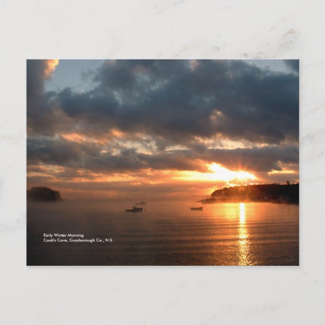 Winter Morning Postcard (Front)