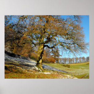 Winter morning poster