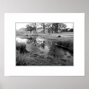 Winter Morning: Strandshag Bay, Derwentwater Poster
