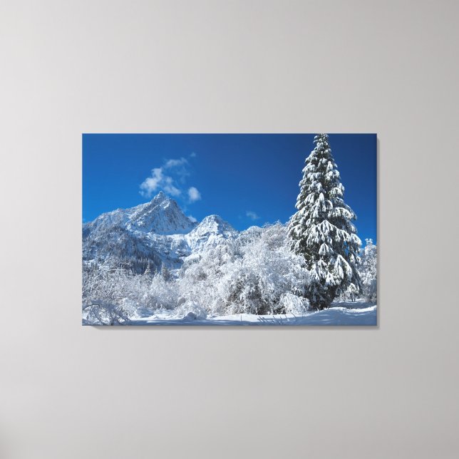 Winter Mountain Wonderland Canvas Print (Front)