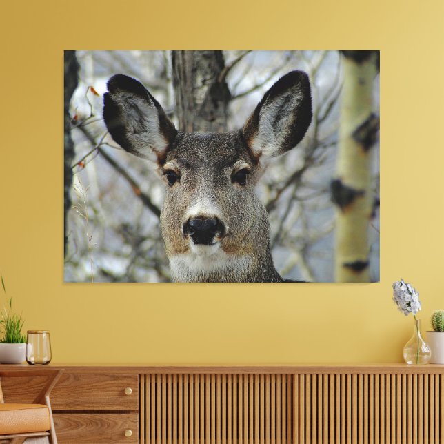 Winter Mule Deer Close-up Canvas Print (Insitu(LivingRoom))