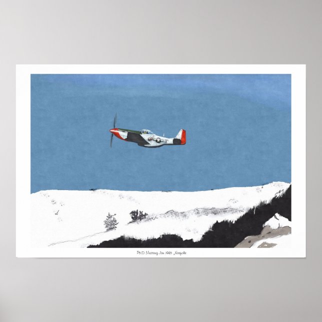 Winter Mustang P51D Poster (Front)