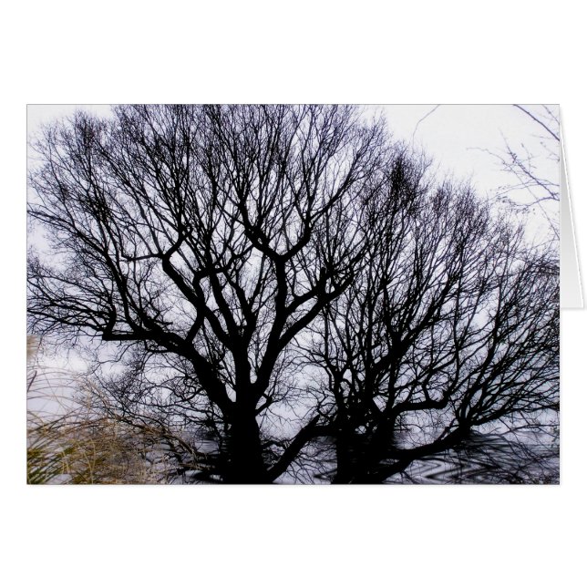 Winter Nature Card (Front Horizontal)