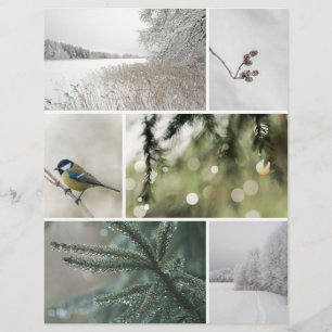 Winter Nature: Christmas Scrapbook Cutout paper