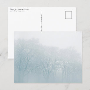 Winter Nature Photo Postcard