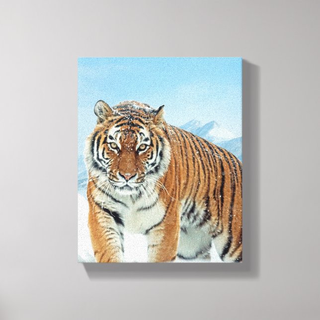 Winter Nature Photo Tiger Snow Mountains Canvas Print (Front)