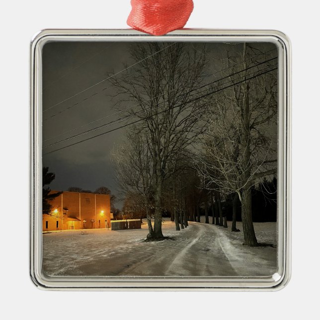 Winter Night Photo Ornament  (Front)