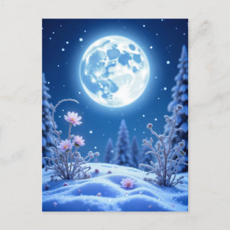 Winter night, Postcrossing  Postcard