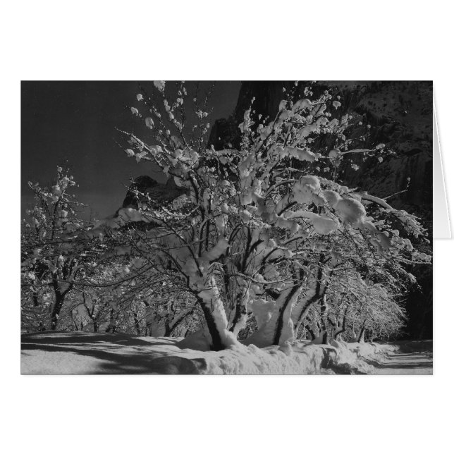 Winter Night Time (Front Horizontal)