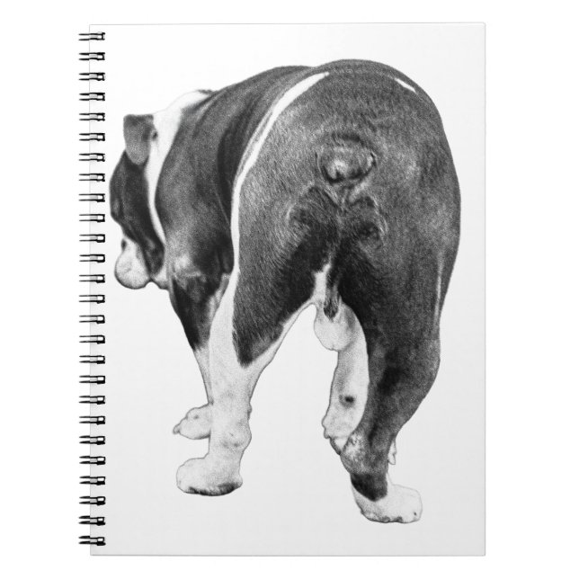 Winter Notes with Shaded Bulldog Muse Notebook (Front)