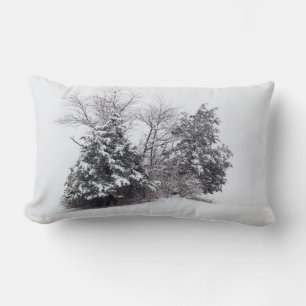 Winter Oasis Lumbar Cushion
