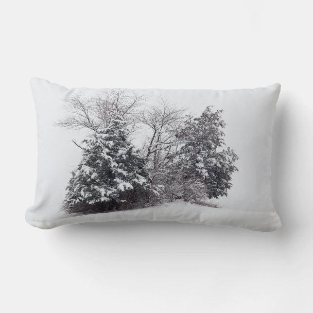 Winter Oasis Lumbar Cushion (Front)