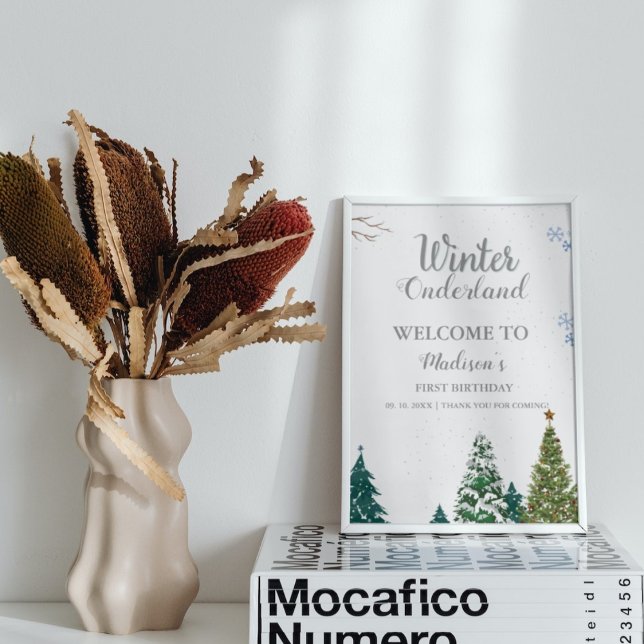 WInter Onderland CHristmas Welcome Birthday party Poster (Creator Uploaded)