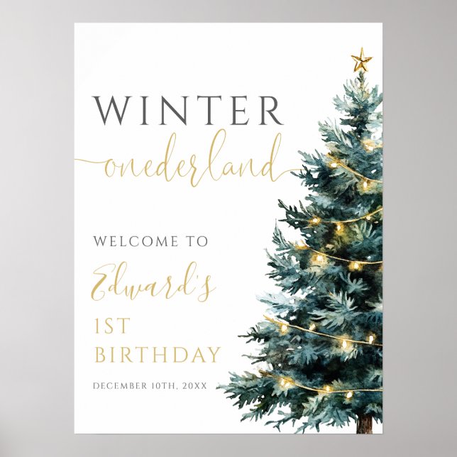 Winter Onederland 1st Birthday Party Welcome Sign (Front)