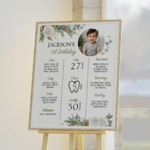 Winter Onederland Birthday Photo Milestone Poster