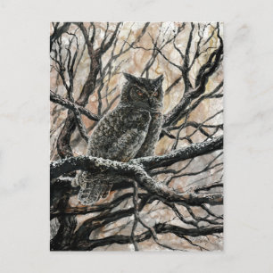 Winter Owl Postcard
