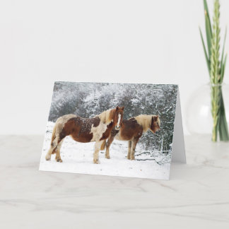Winter Paddock Holiday Card