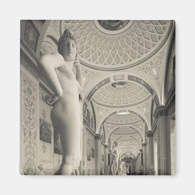 Winter Palace, Hermitage Museum, statue gallery 2 Magnet (Front)