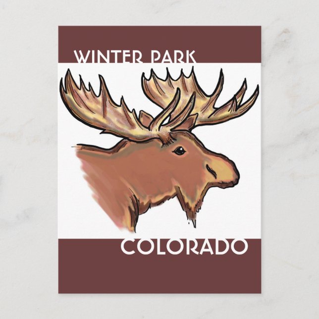 Winter Park Colorado brown moose postcard (Front)