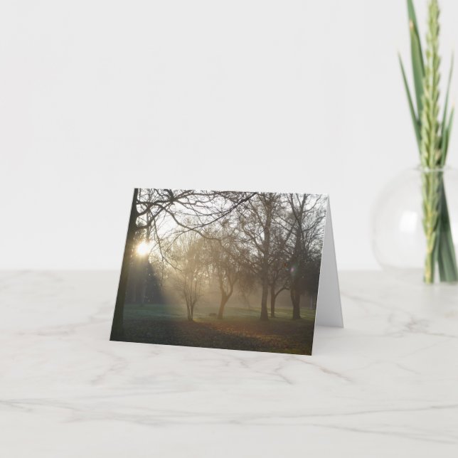 'Winter Park' Notecard (Front)