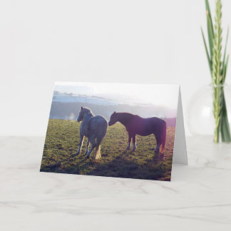 Winter pasture horse card