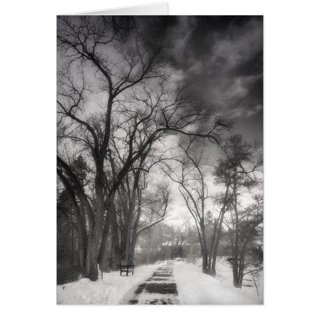 Winter Pathways (Front)