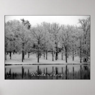 Winter Peace Poster