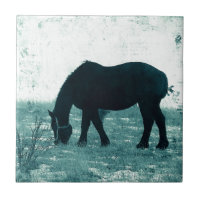 Winter Percheron