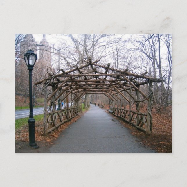 Winter Pergola Central Park New York City NYC Card (Front)
