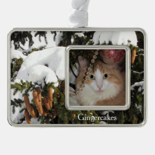 Winter Picture and Custom Photo Christmas Ornament