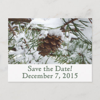 Winter Pine Save the Date Postcard
