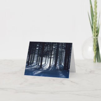 WINTER: Pines in snow Holiday Card